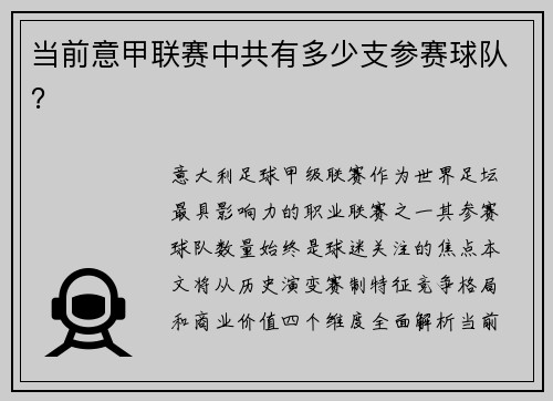 当前意甲联赛中共有多少支参赛球队？