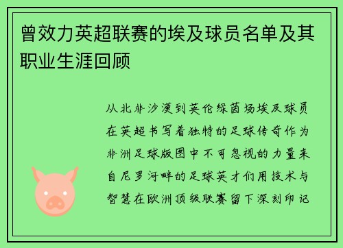 曾效力英超联赛的埃及球员名单及其职业生涯回顾